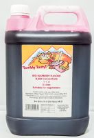 Red Raspberry Slush Syrup (5 Litre) Terribly Tasty