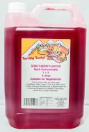 Sour Cherry Slush Syrup (4 x 5 Litre) Terribly Tasty